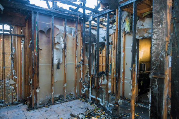 Professional Fire Damage Removal technician working in Chester, MD