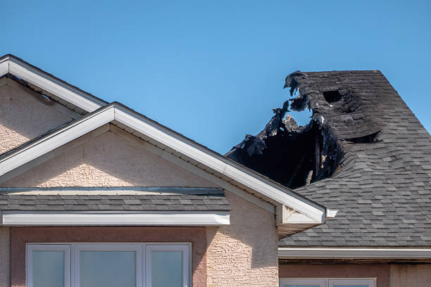 Top rated local Fire Damage Removal specialists in Chester, MD